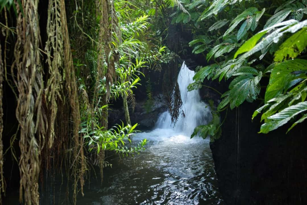 Dira Bungalows Tetebatu Esterno foto