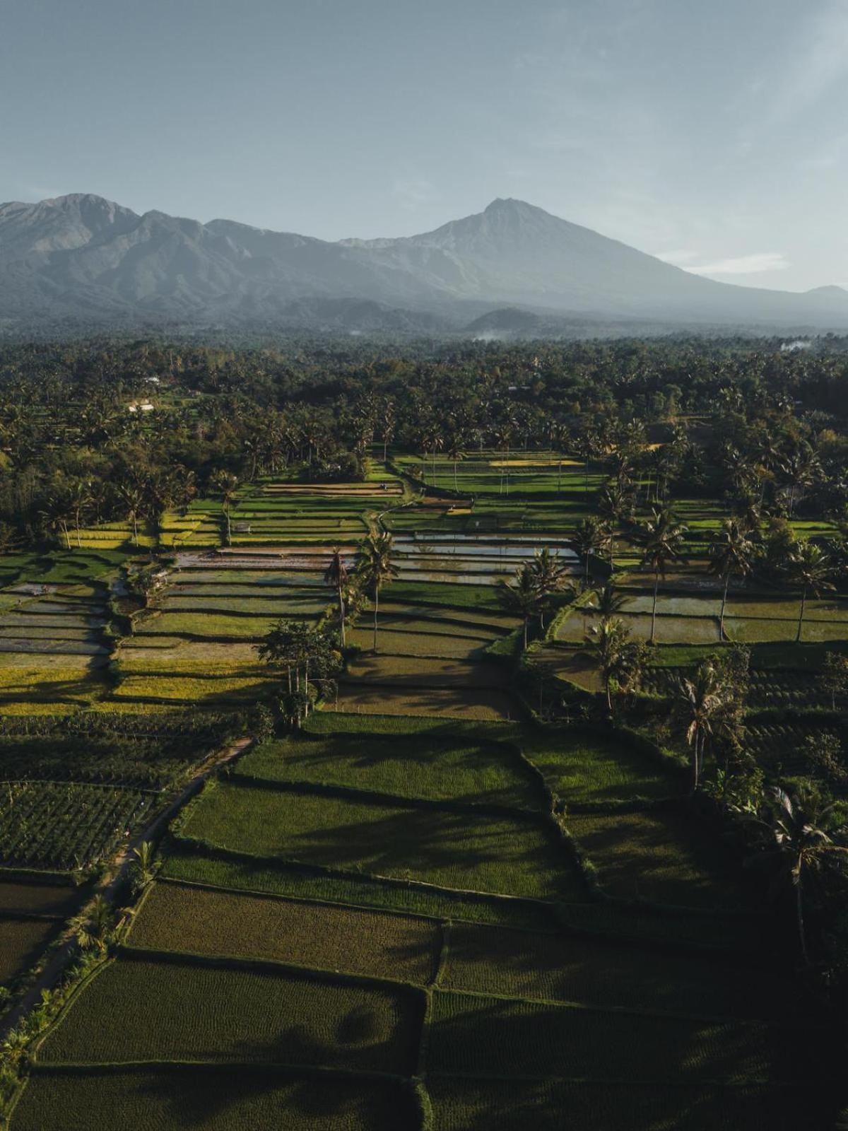 Dira Bungalows Tetebatu Esterno foto