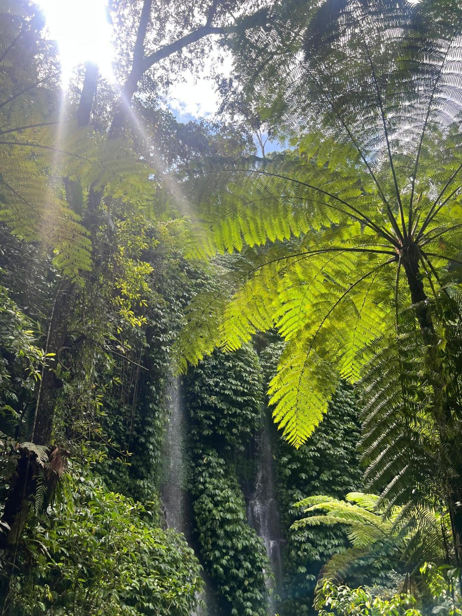 Dira Bungalows Tetebatu Esterno foto